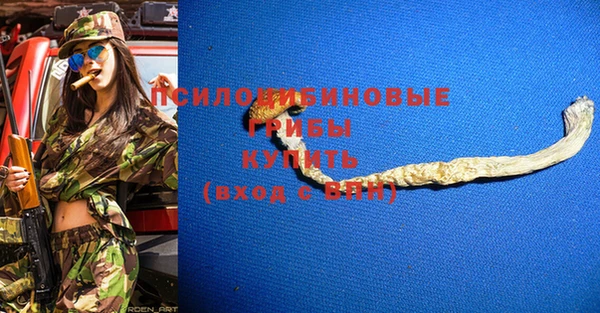 mdpv Верхний Тагил