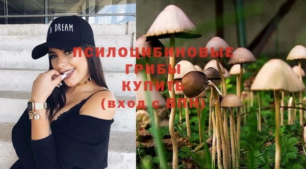 Альфа ПВП Бугульма