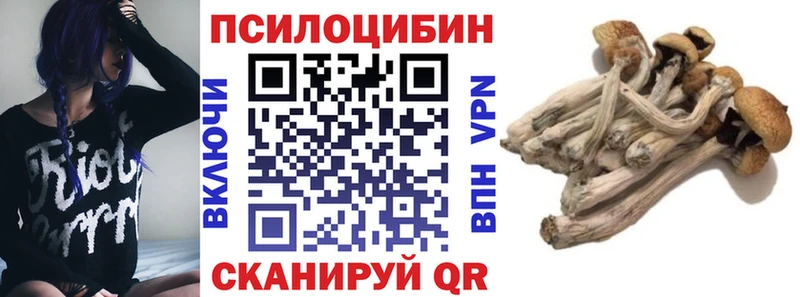 блэк спрут как войти  Каргат  shop официальный сайт  что такое   Псилоцибиновые грибы мицелий 